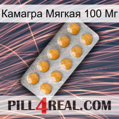 Камагра Мягкая 100 Мг levitra1